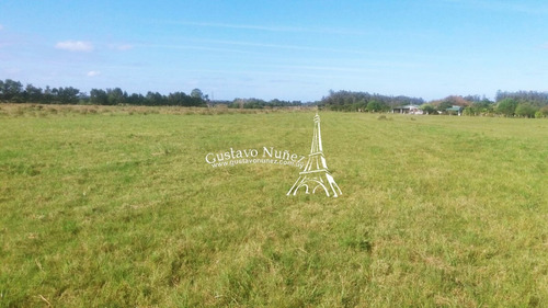 5 Hectáreas En Punta Negra- Ref: 2899