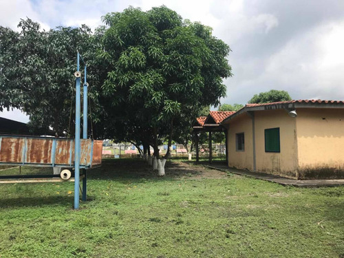 Imagen 4 de 27 de En Venta Finca De 118 Hectáreas , Y Granja Porcina , De 3.5