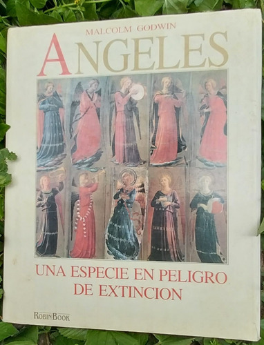 Libro Ángeles, Una Especie En Peligro De Extinción