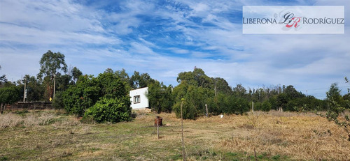 Casa En Arriendo, Mantagua, Quintero