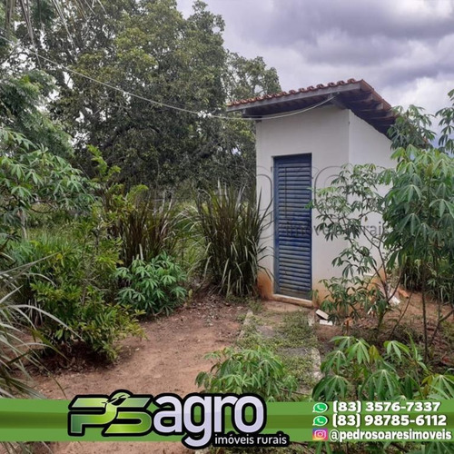Imagem 12 de 16 de ( Fazenda Em Promoção )fazenda À Venda, 26000 Hectares Por R$ 6.200.000 - Centro - Bonito De Minas/mg - Fa0072
