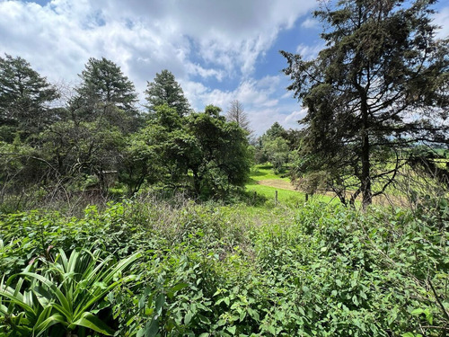 Terreno En Venta En Amecameca