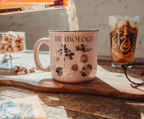 Caneca Toynk Harry Potter Herbology Ceramic 600ml