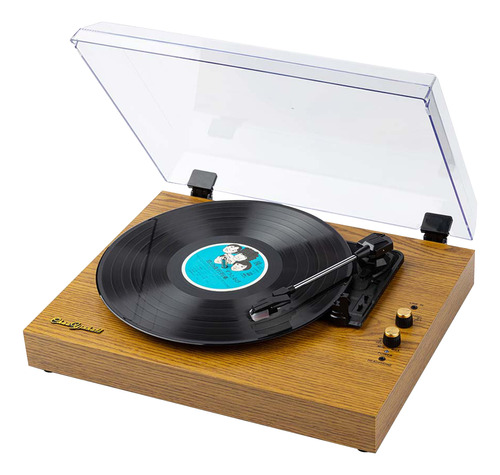 Reproductor De Discos De Vinilo Gramophone Lp Record Con Sal