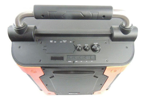 Caixa De Som Amplificada Microfone Sem Fio Karaokê 80w Rms