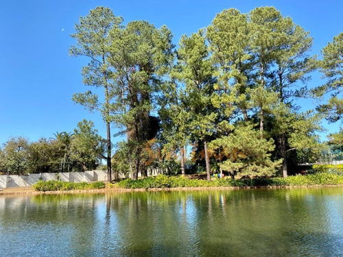 Imagem 6 de 30 de Terreno Residencial A Venda, 1160 M² Por R$ 1.160.000 - Condomínio Residencial Colina - Campinas/sp - Te0627