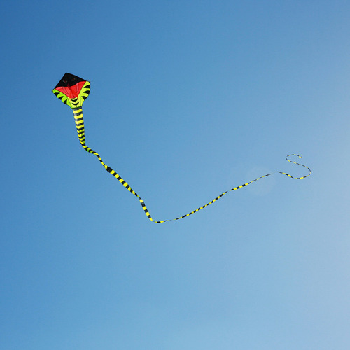Cometa Con Forma De Serpiente Grande De 16 M, Cometa Blanda,