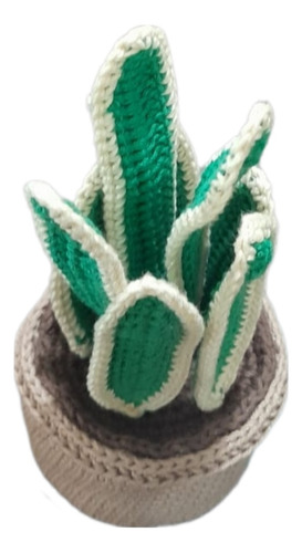Maceta Tejida A Crochet Sanseveria Lengua Suegra Eterna