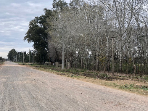 Loteo La Eugenia By Moradas Venta De Lotes Con Amplia Financiacion En Ezeiza
