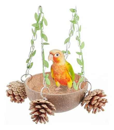 Columpio Hecho De Coco Para Aves Pequeñas