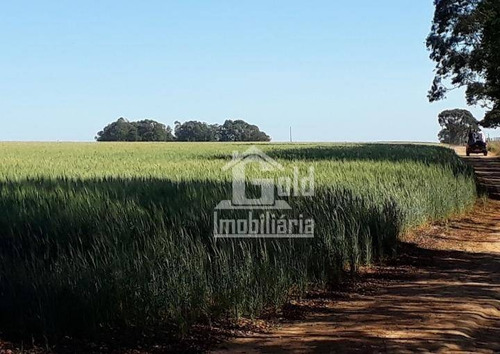 Fazenda À Venda, Com 160 Alqueires Por R$ 40.000.000 - Zona Rural - Tupaciguara/mg - Fa0138