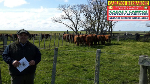 Tenemos Pedidos De Compra Campos Ganadero Agricola Forestal