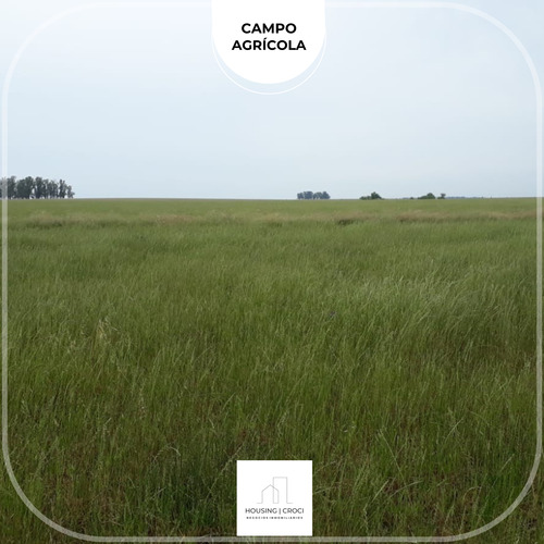 Canelones, Campo Agricola Ganadero, 390 Hás 