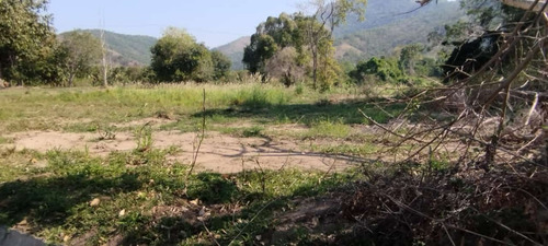 Terreno Totalmente Plano E Próximo Ao Estádio De Futebol Do Sampaio Correia