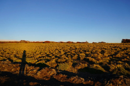 Parcela De 5000mt2 En La Araucania Con Vista 360 A Volcanes