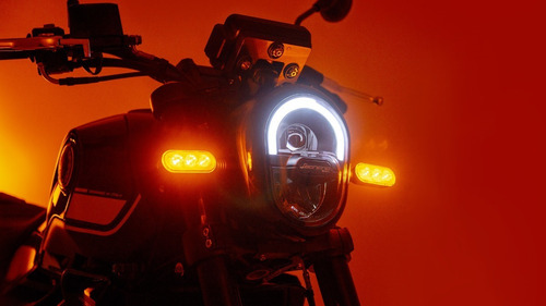 Imagen 6 de 15 de Benelli Leoncino 250 0km 2021 Moto Delta Tigre