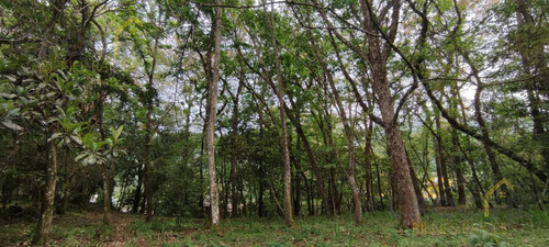 Terreno Enventa En Piedra De Agua En Jilotepec Veracruz