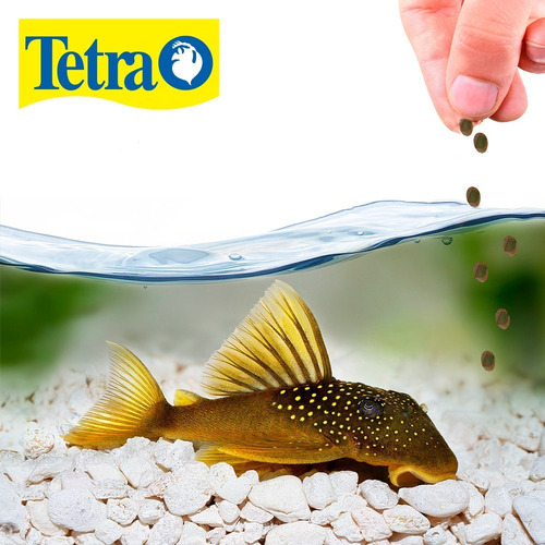 Alimento Comida Para Peces Tetra Pro Pleco Wafers 150gr