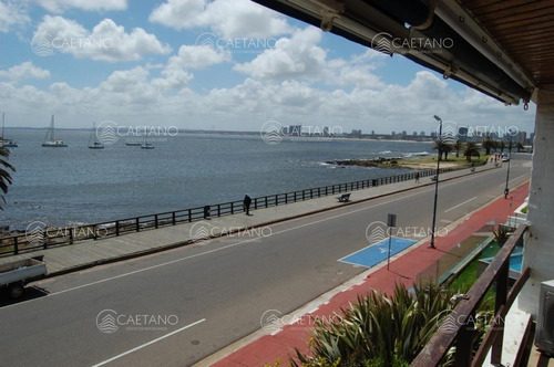 Alquiler Temporal Frente Al Puerto - 2 Dormitorios 2 Bau00f1os - Punta Del Este 