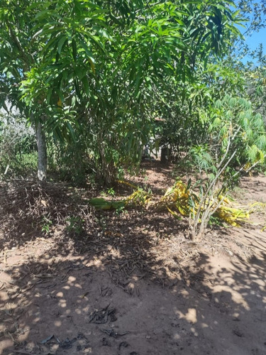 Vendo Chácara Em Limeira Com 2.500 Metros R$450.000