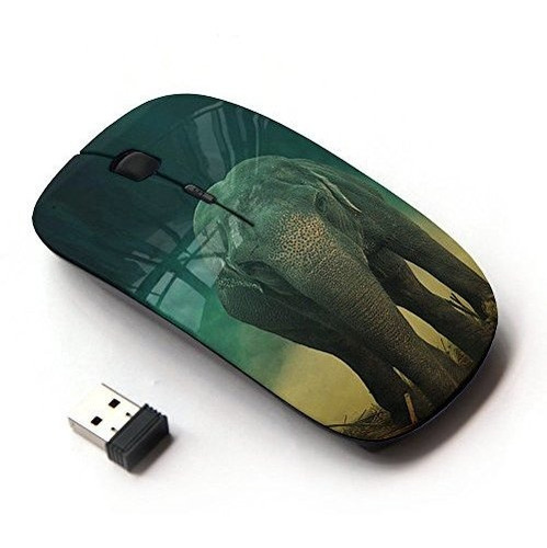 Koolmouse [ Óptico 2.4g Ratón Inalámbrico [ Elefante H8ftx