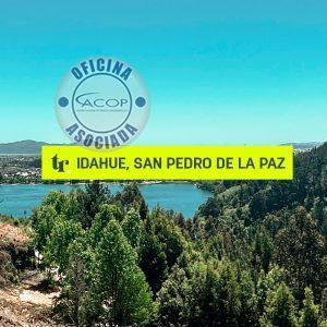 Se Vende Gran Terreno En Idahue, En San Pedro De La Paz