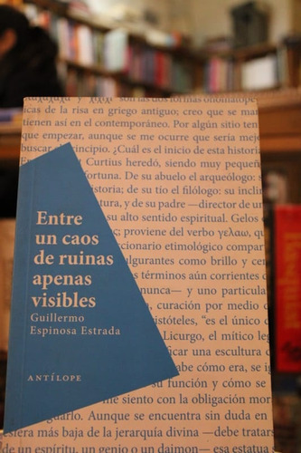 Entre Un Caos De Ruinas Apenas Visibles - Guillermo Espinosa