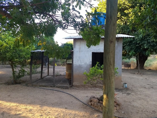 Imagem 3 de 14 de Chácara 3 Hectares , Casa, Agua Luz Beira Rio S Fraco
