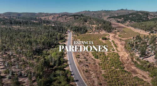 Parcelas Con Descuentos A 5 Minutos San Pedro De Álcantara