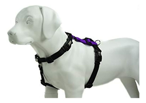 Azul-9 Productos Para Mascotas Equilibrio Arnes Hebilla Cue