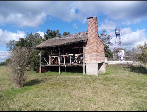 Imagen 4 de 14 de Se Vende Campo De 2.5 Hect Con Casa Y Piscina En Mercedes !!