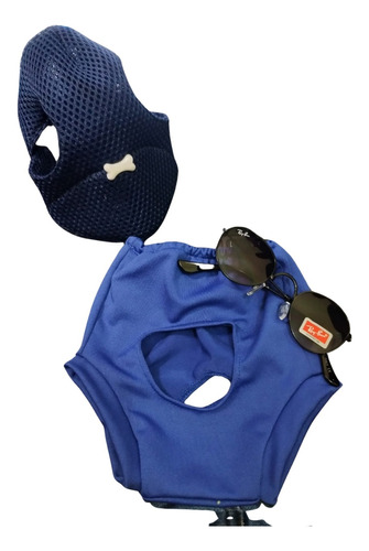  Cj. Roupa Pet Verão Cueca + Boné + Óculos Para Cães E Gatos