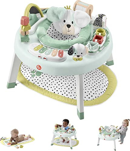 Fisher-price Centro De Actividades Snugapuppy 3 En 1 De Bebé