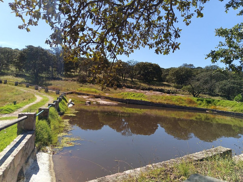 Terreno En Venta En Sierra De Lobos