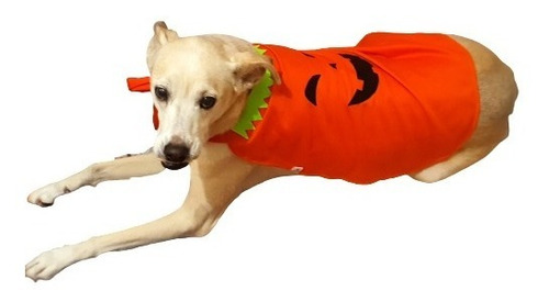 Roupa Roupinha Cachorro Capa Abóbora De Halloween - Tam 4