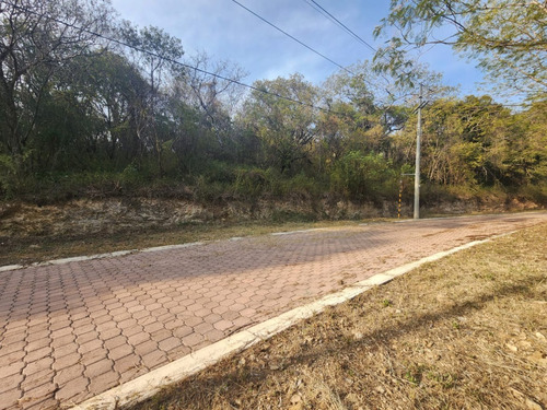 Venta Lote Gladiola 31 Muy Cerca De La Entrada Y En Nueva Zona De Fracc Rancho San Diego Ixtapan De La Sal Edomex Con Todos Los Servicios Y Proyecto Incluído