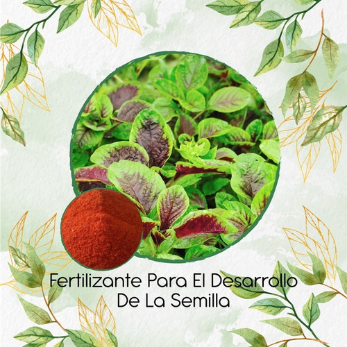 Fertilizante Para El Desarrollo De Amaranto Rojo Chino