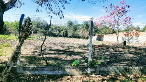Imagem 4 de 7 de Terreno À Venda Em Centro - Te017034
