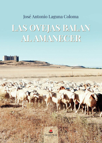 Las Ovejas Balan Al Amanecer