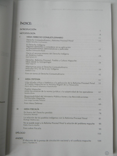 Derechos Reforma Justicia Y Pueblo Mapuche 2002 (Usado)