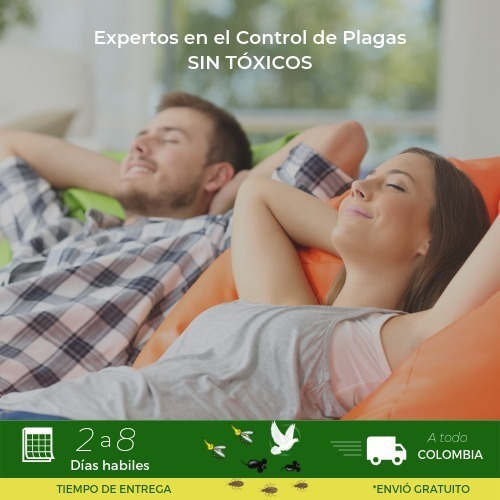 Trampa De Pegamento Rata Ratones T - Unidad a $6600