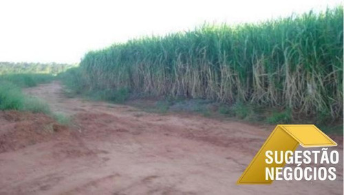 Imagem 13 de 15 de Fazenda No Asfalto Agricultura Ou Pecuaria - 3112