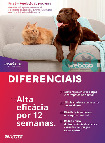 01 Bravecto Cães De 2 A 4kg E 01 Bravecto 4,5 A 10kg 250mg