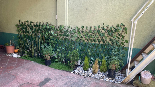 Cerca Plegable De Madera Con Hojas Hastadas De Enredadera