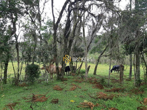 Alugo/vendo Chácara Araucária Moradia E Para Lazer - Ch0003