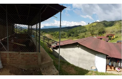 Finca Ganadera Lechera En Cachimbal- Vijes - Valle Del Cauca