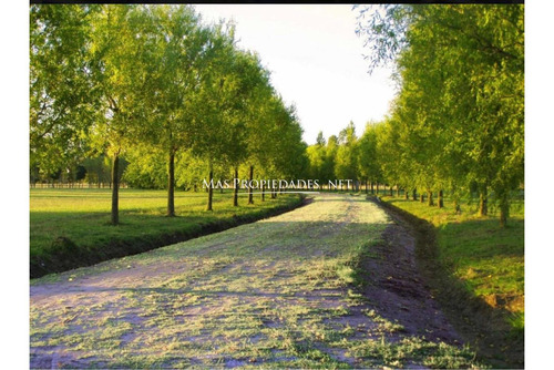 Lote En Venta En Brandsen Posada De Los Lagos A La Laguna