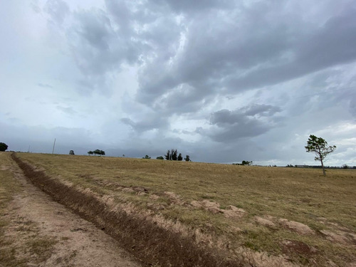 Venta De Chacra En Rincón De José Ignacio, 5 Hectareas - Ref: 1587