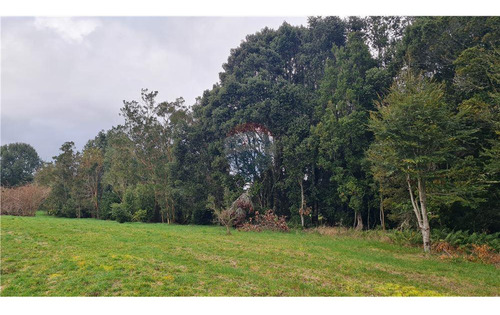 Hermosa Parcela Con Estero En Puerto Varas