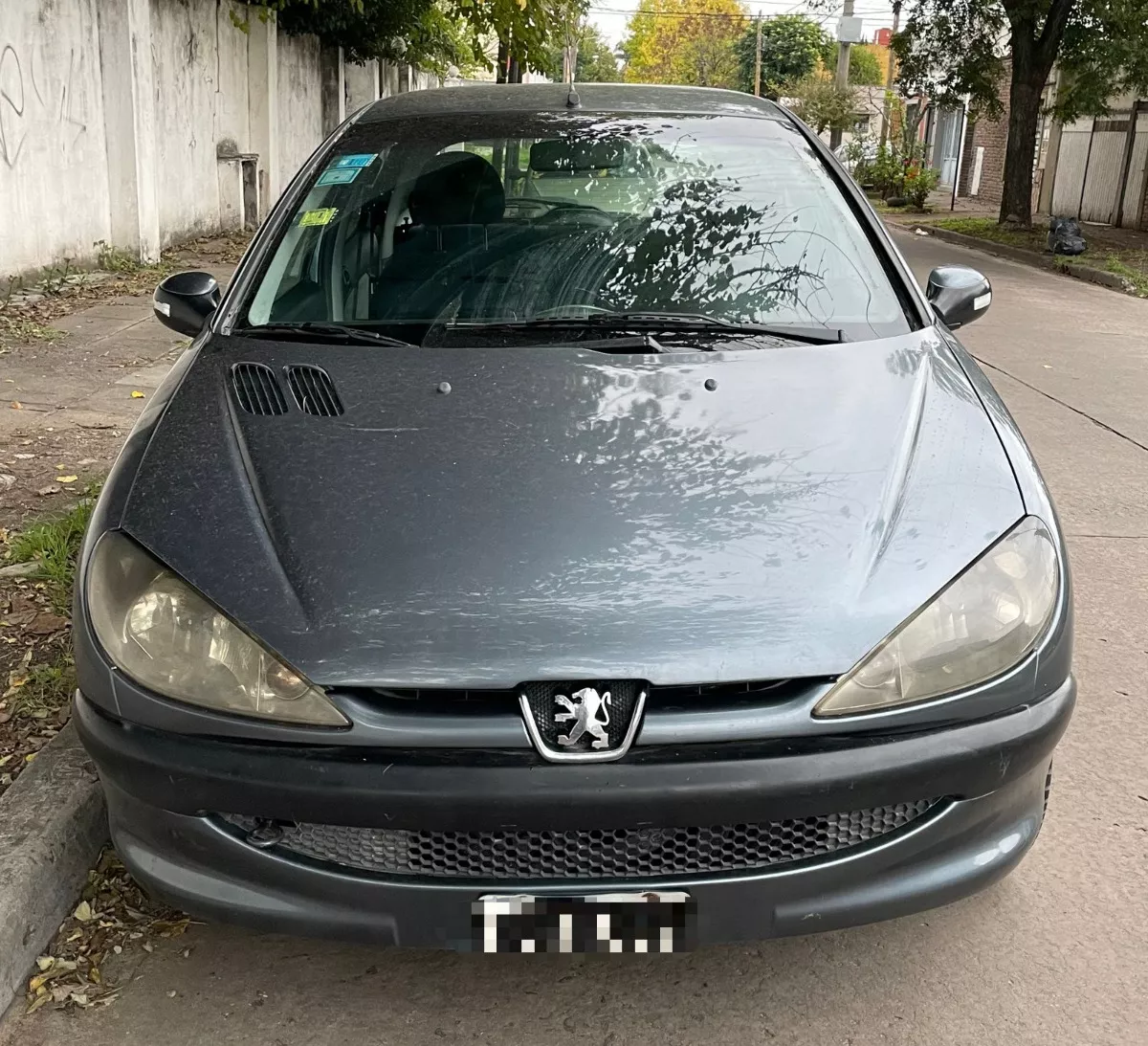 Peugeot 206 1.9 D X-line